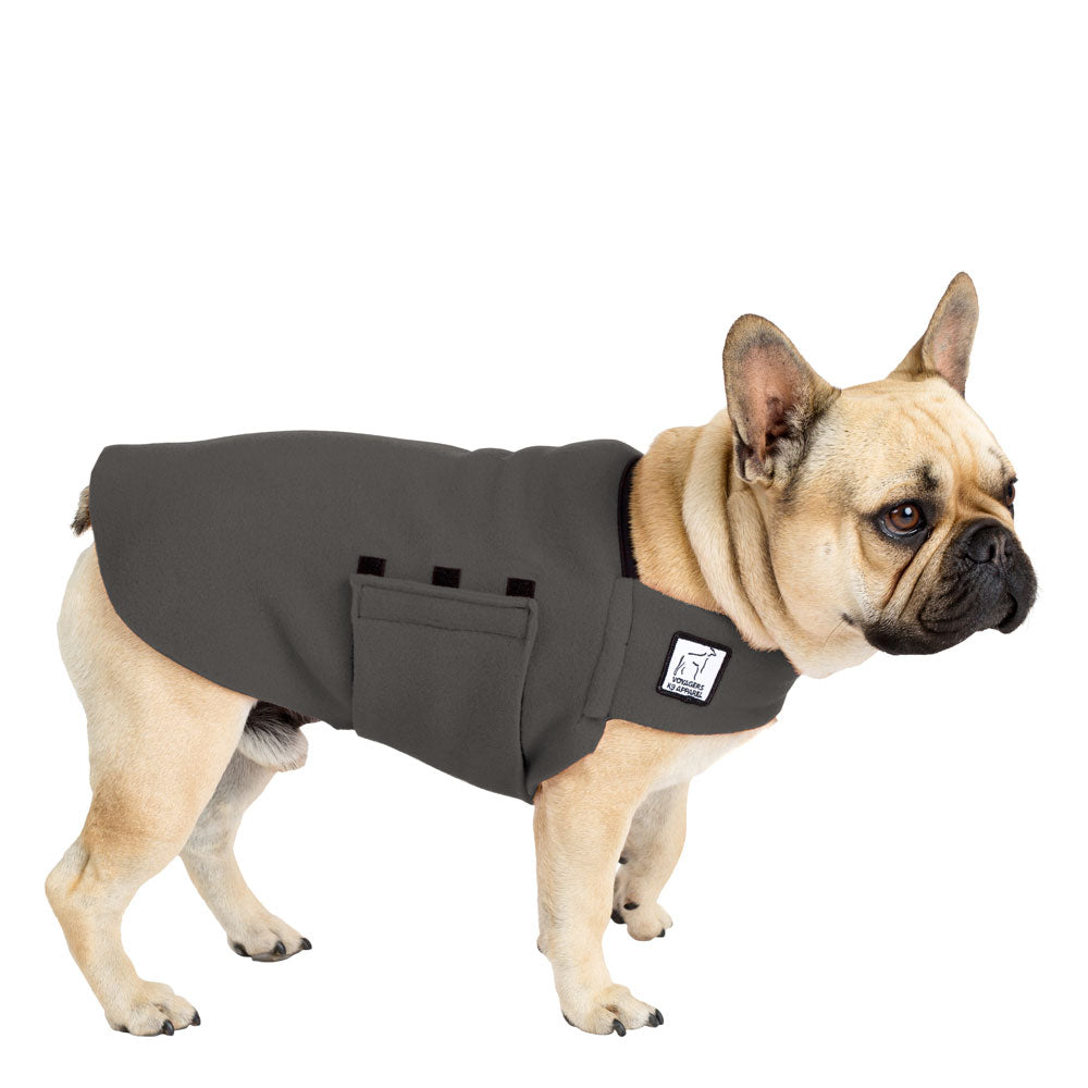 French Bulldog Tummy Warmer - Voyagers K9 Apparel