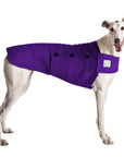 Greyhound Tummy Warmer Dog Vest – Voyagers K9 Apparel