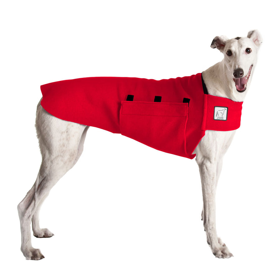 Greyhound Tummy Warmer - Voyagers K9 Apparel
