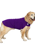 Golden Retriever Tummy Warmer Dog Vest (Purple) - Voyagers K9 Apparel Dog Gear