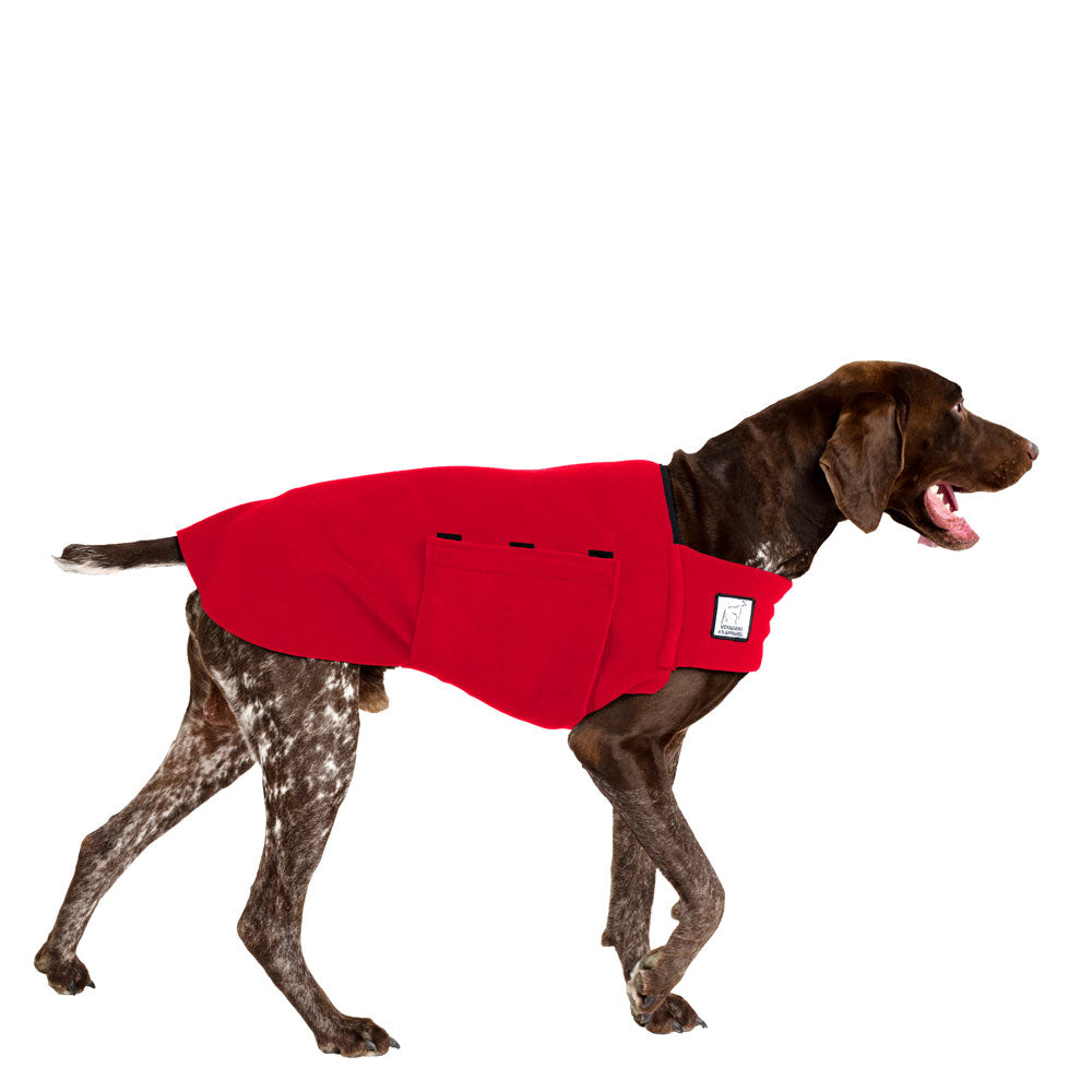 German Shorthaired Pointer Tummy Warmer - Voyagers K9 Apparel