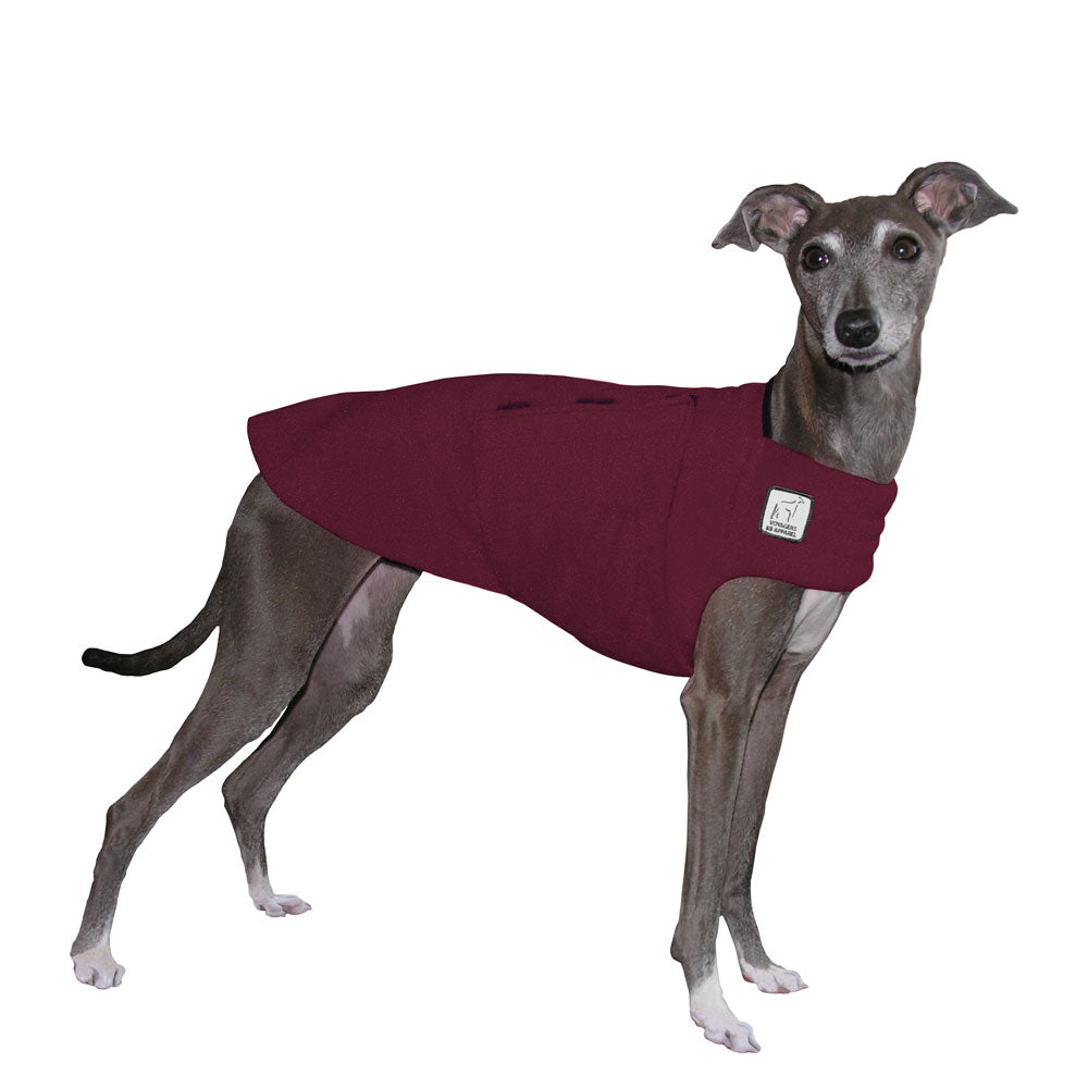 Italian Greyhound Tummy Warmer - Voyagers K9 Apparel