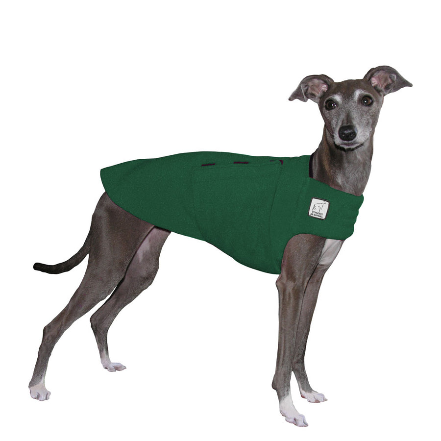Italian Greyhound Tummy Warmer - Voyagers K9 Apparel