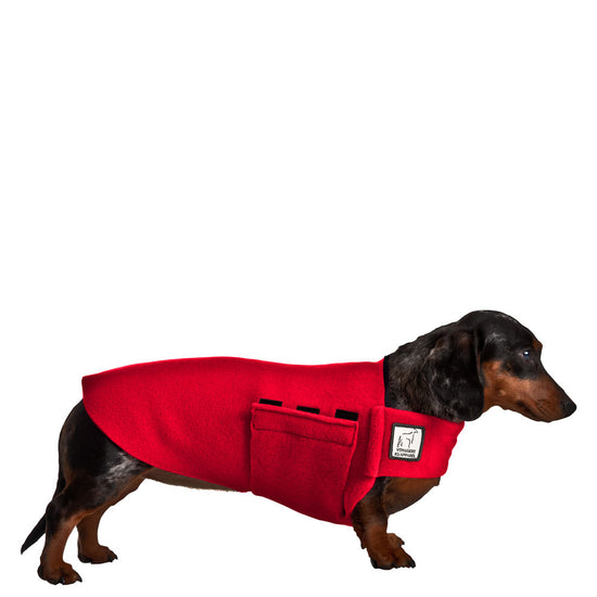 Miniature Dachshund Tummy Warmer Dog Vest – Voyagers K9 Apparel