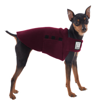 Miniature Pinscher Tummy Warmer (Burgundy) - Voyagers K9 Apparel Dog Gear