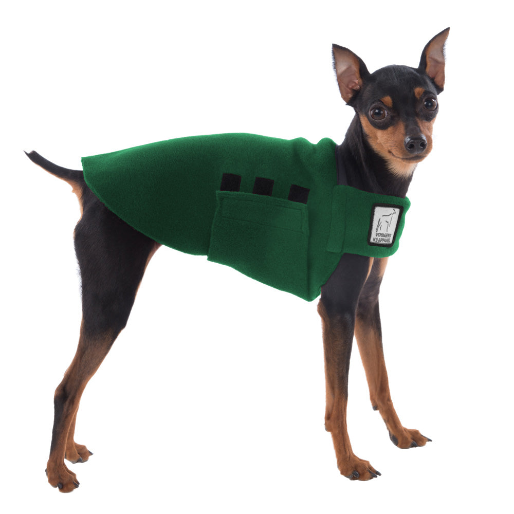 Miniature Pinscher Tummy Warmer (Green) - Voyagers K9 Apparel Dog Gear