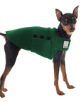 Miniature Pinscher Tummy Warmer (Green) - Voyagers K9 Apparel Dog Gear
