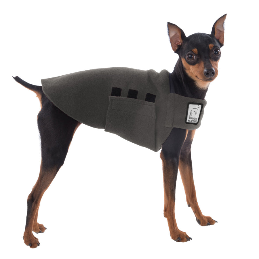 Miniature Pinscher Tummy Warmer (Nightfall) - Voyagers K9 Apparel Dog Gear