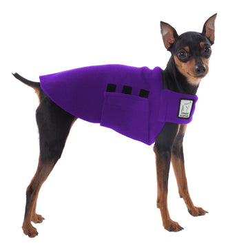 Miniature Pinscher Tummy Warmer (Purple) - Voyagers K9 Apparel Dog Gear