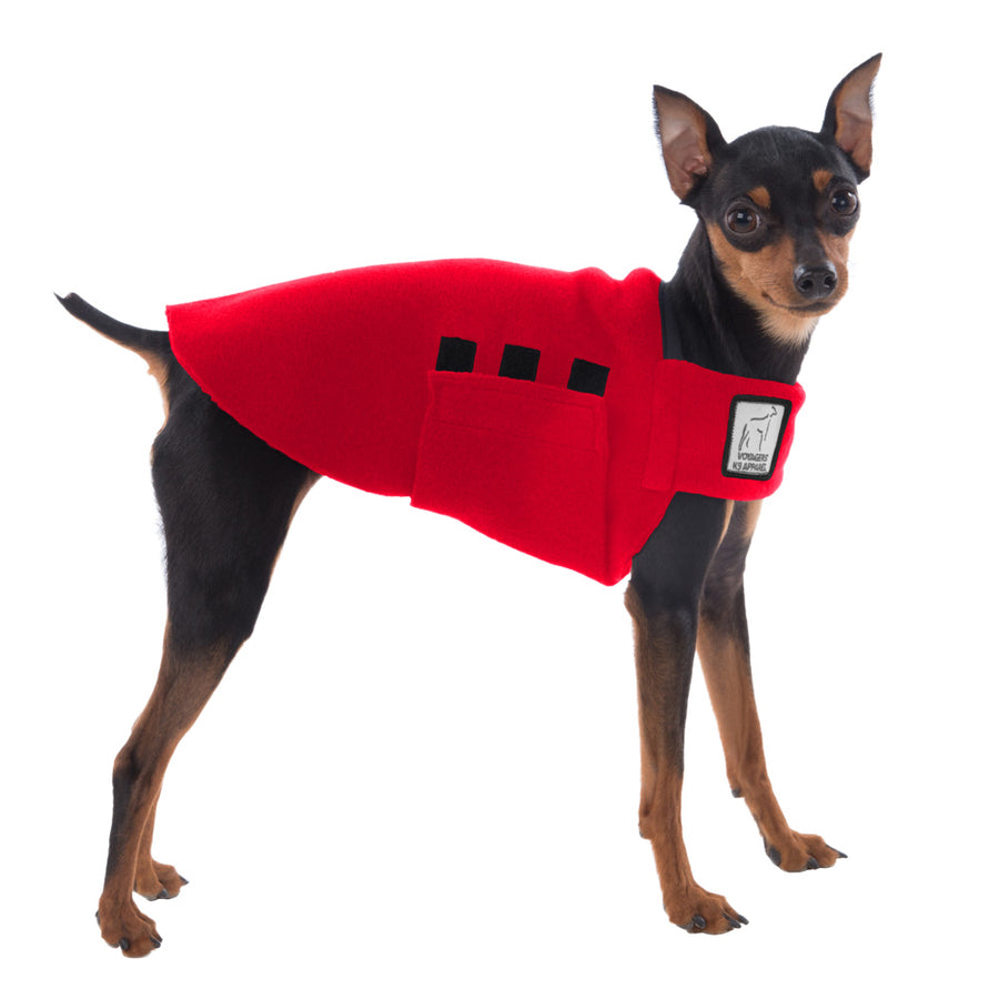 Miniature Pinscher Tummy Warmer (Red) - Voyagers K9 Apparel Dog Gear
