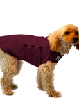 Miniature Poodle Tumy Warmer Dog Vest (Burgundy) - Voyagers K9 Apparel Dog Gear