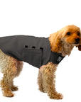 Miniature Poodle Tumy Warmer Dog Vest (Nightfall) - Voyagers K9 Apparel Dog Gear