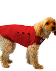 Miniature Poodle Tumy Warmer Dog Vest (Red) - Voyagers K9 Apparel Dog Gear