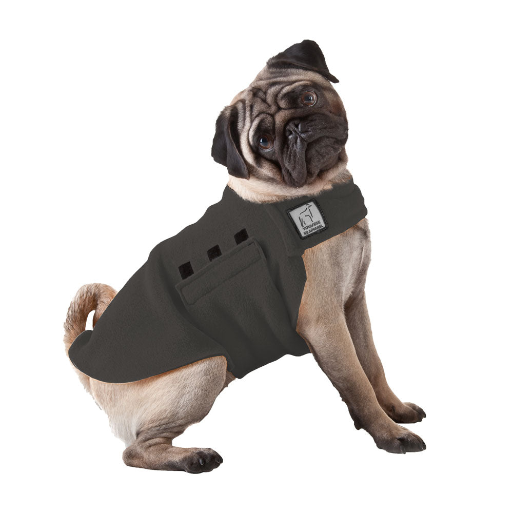 Pug Tummy Warmer - Voyagers K9 Apparel