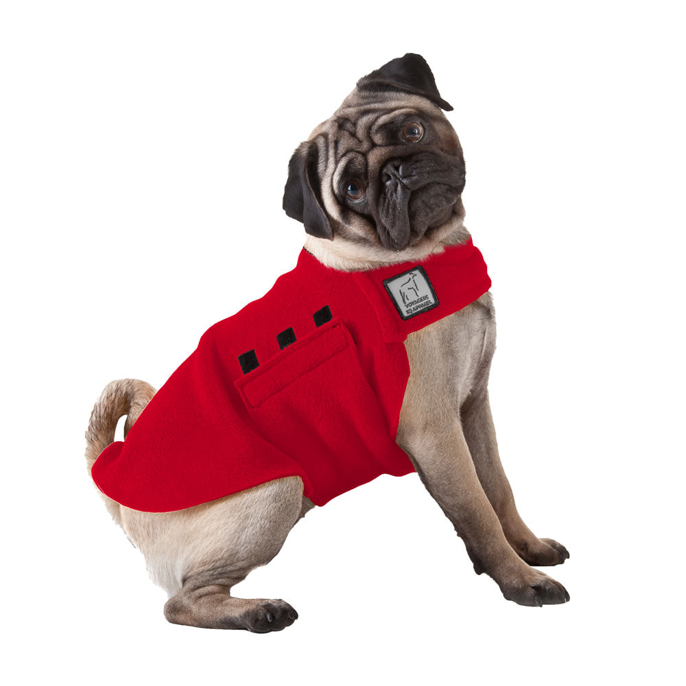 Pug Tummy Warmer - Voyagers K9 Apparel