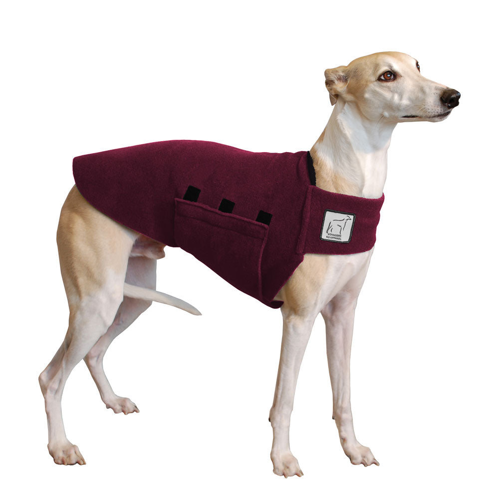 Whippet Tummy Warmer - Voyagers K9 Apparel