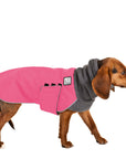 Beagle Winter Coat - Voyagers K9 Apparel