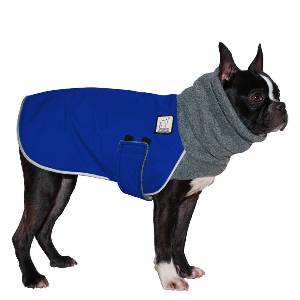 Boston  Terrier Winter Coat (Special Color Blue) - Voyagers K9 Apparel