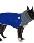 Boston  Terrier Winter Coat (Special Color Blue) - Voyagers K9 Apparel