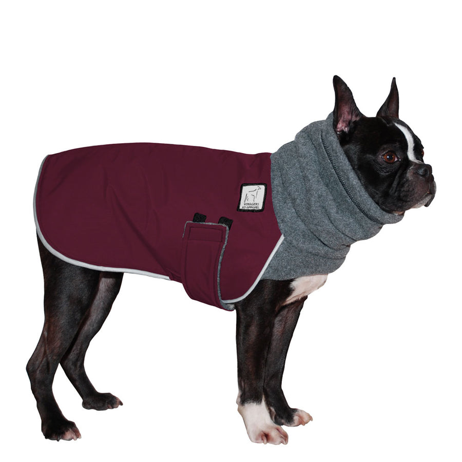 Boston Terrier Winter Coat - Voyagers K9 Apparel