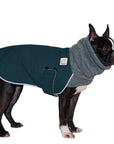 Boston Terrier Winter Coat (Dark Teal) - Voyagers K9 Apparel