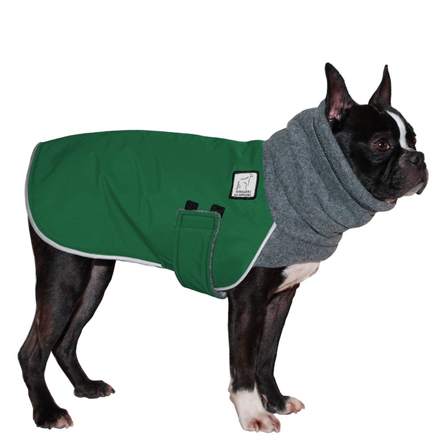 Boston terrier jackets hotsell