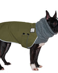Boston Terrier Winter Coat (Olive) - Voyagers K9 Apparel