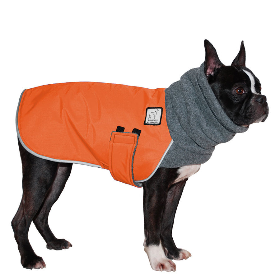 Boston terrier clothes best sale