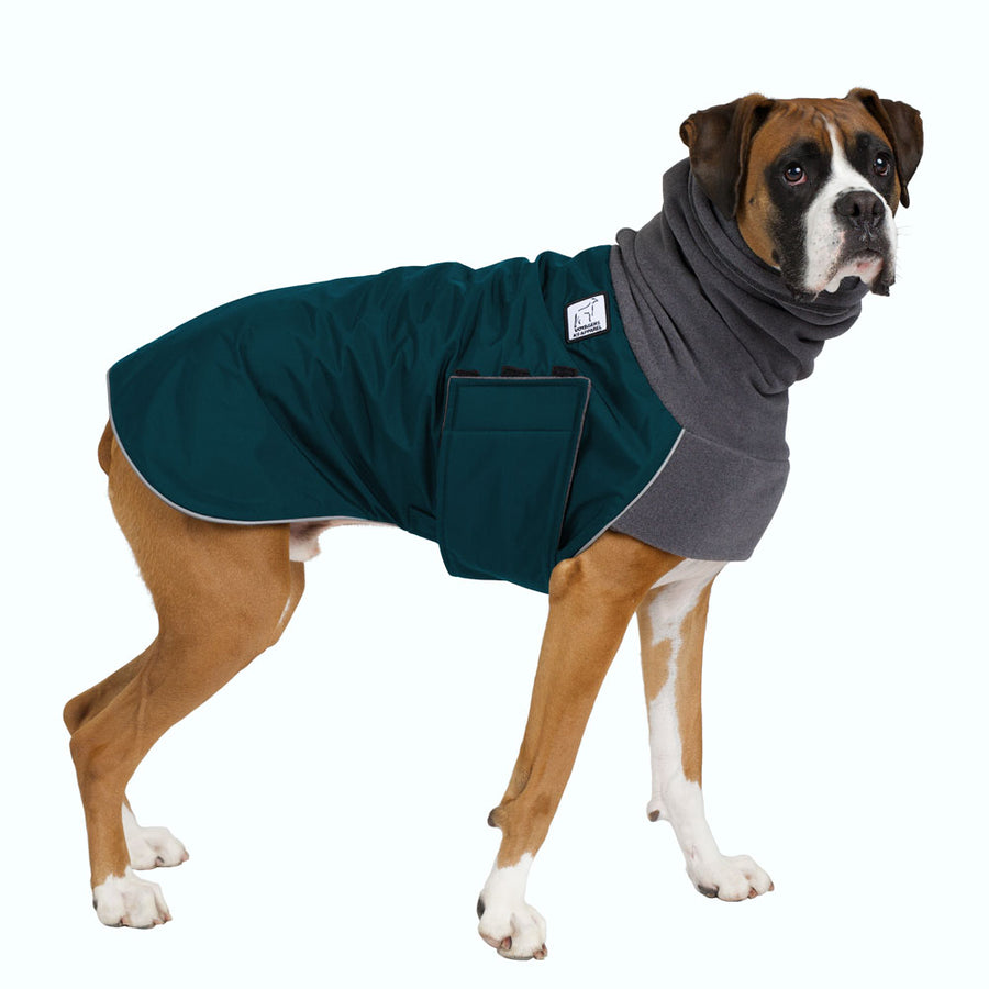 Boxer Warm Dog Winter Coat – Voyagers K9 Apparel