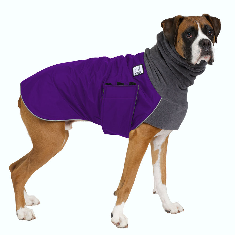 Boxer Winter Coat (Special Order Purple) - Voyagers K9 Apparel
