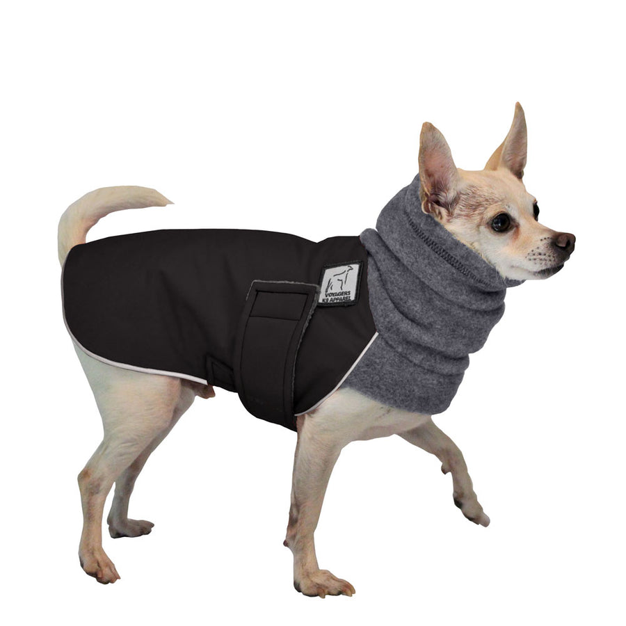 Chihuahua Winter Coat - Voyagers K9 Apparel