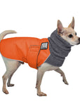 Chihuahua Winter Coat (Special Order Orange) - Voyagers K9 Apparel