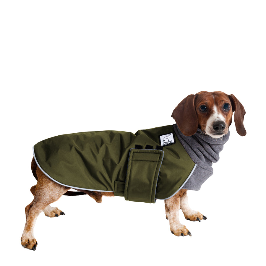 Dachshund Winter Coat (Olive) - Voyagers K9 Apparel
