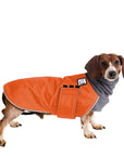 Dachshund Winter Coat (Special Order Orange) - Voyagers K9 Apparel