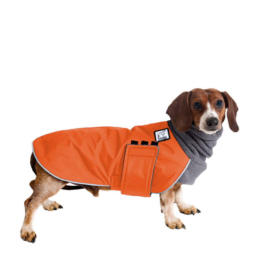 Dachshund Winter Coat (Special Order Orange) - Voyagers K9 Apparel