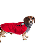 Dachshund Winter Coat (Red) - Voyagers K9 Apparel