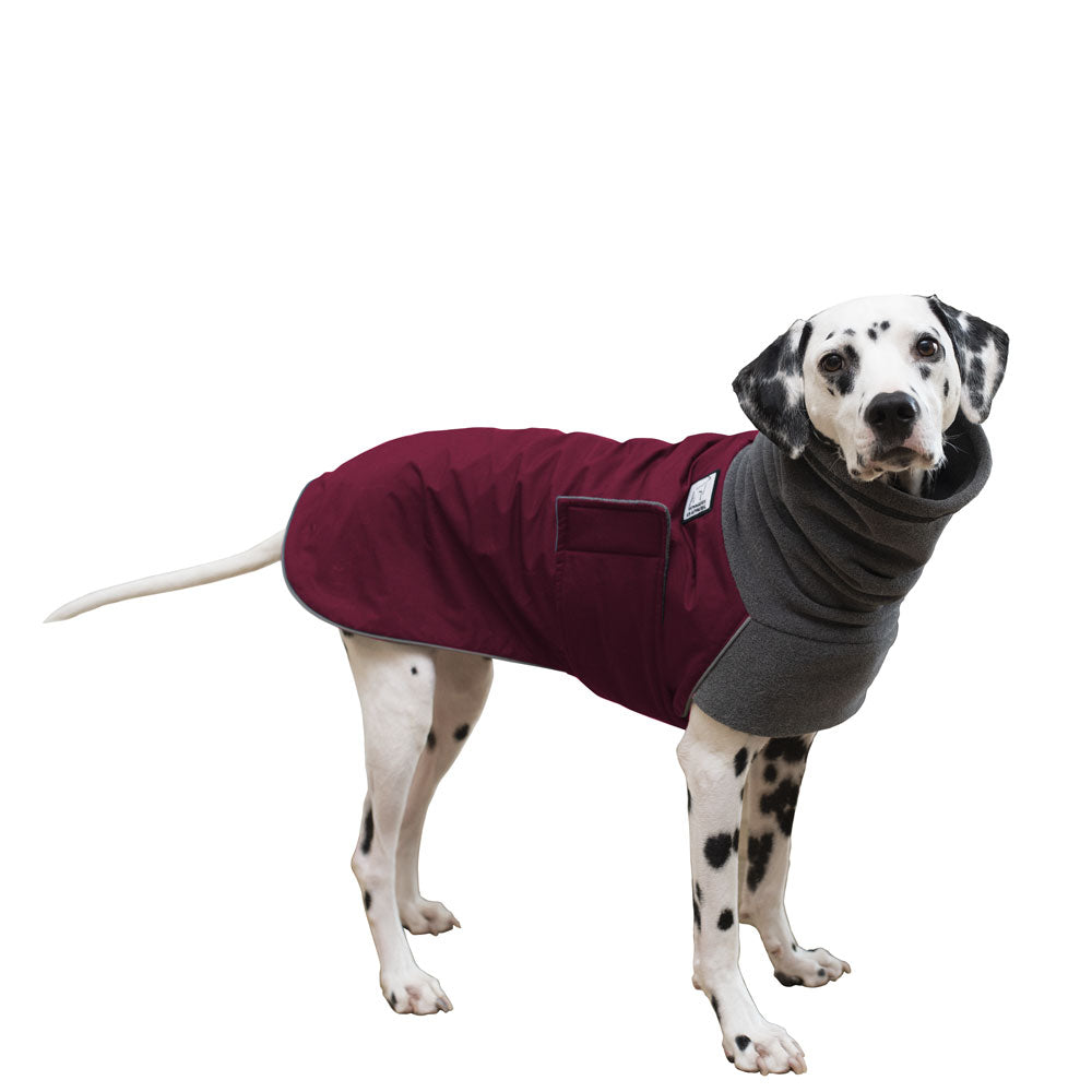 Dalmatian Winter Coat (Burgundy) - Voyagers K9 Apparel