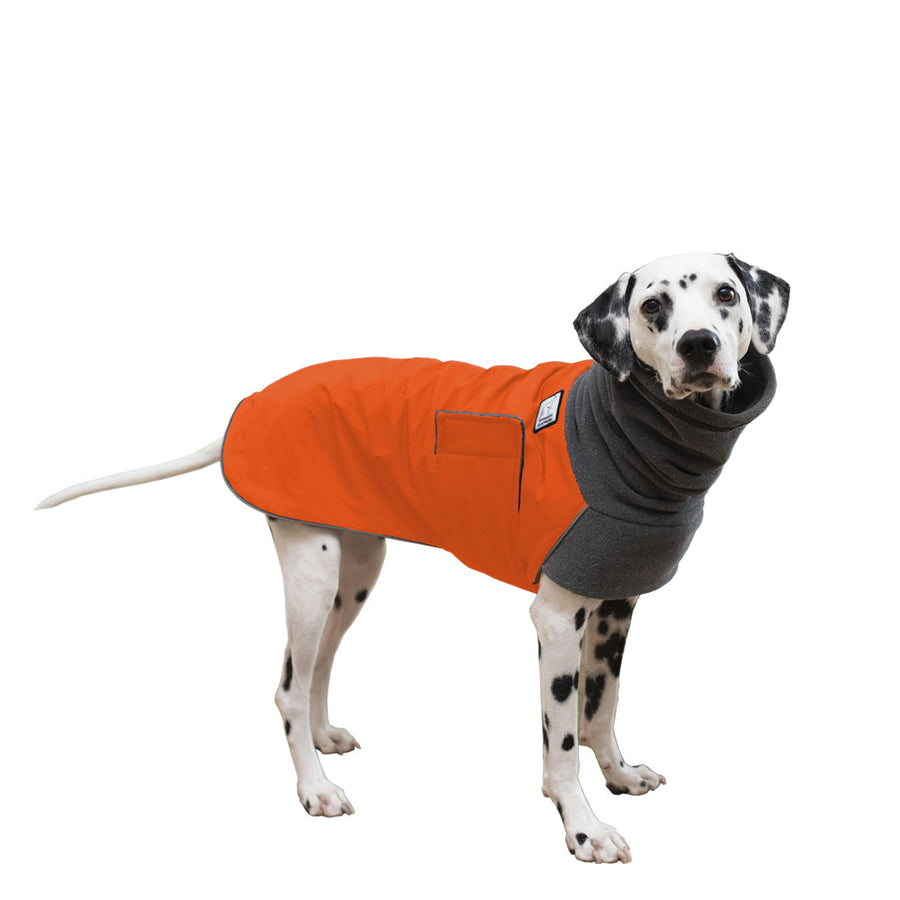 Dalmatian Winter Coat (Special Order Orange) - Voyagers K9 Apparel