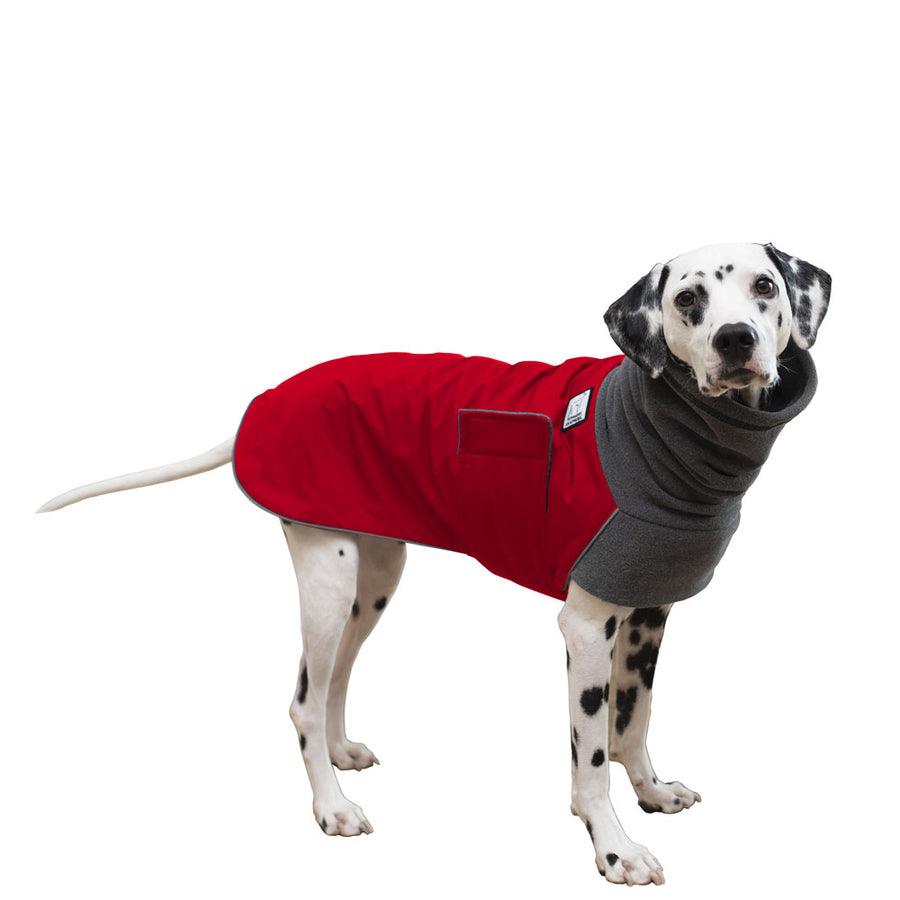 Dalmatian Winter Coat (Red) - Voyagers K9 Apparel