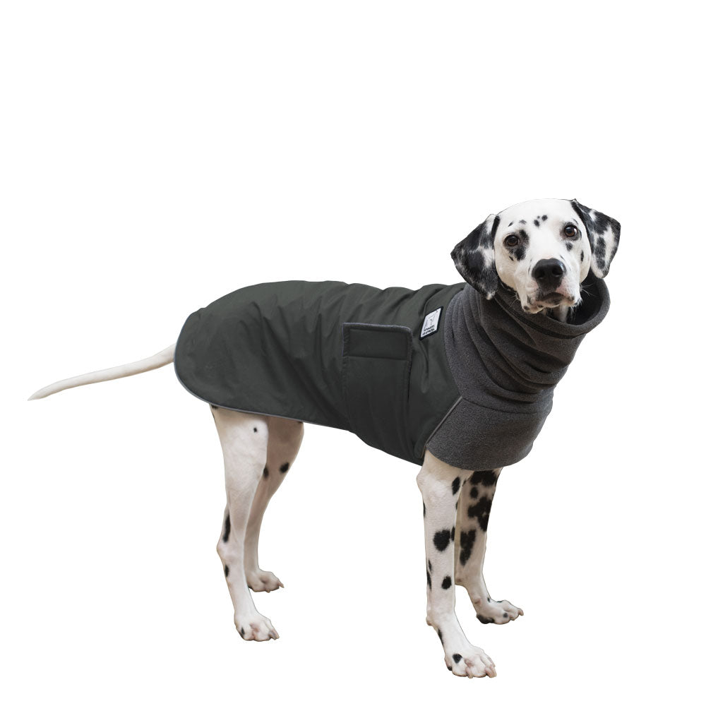 Dalmatian Winter Coat (Special Order Smoke) - Voyagers K9 Apparel