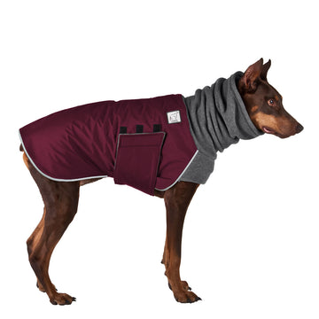 Doberman Pinscher Winter Coat (Burgundy) - Voyagers K9 Apparel