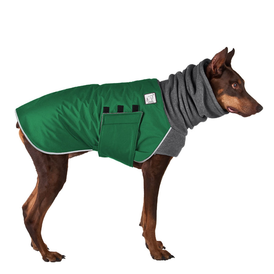 Doberman Pinscher Winter Coat (Special Order Green) - Voyagers K9 Apparel