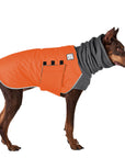 Doberman Pinscher Winter Coat (Special Order Orange) - Voyagers K9 Apparel