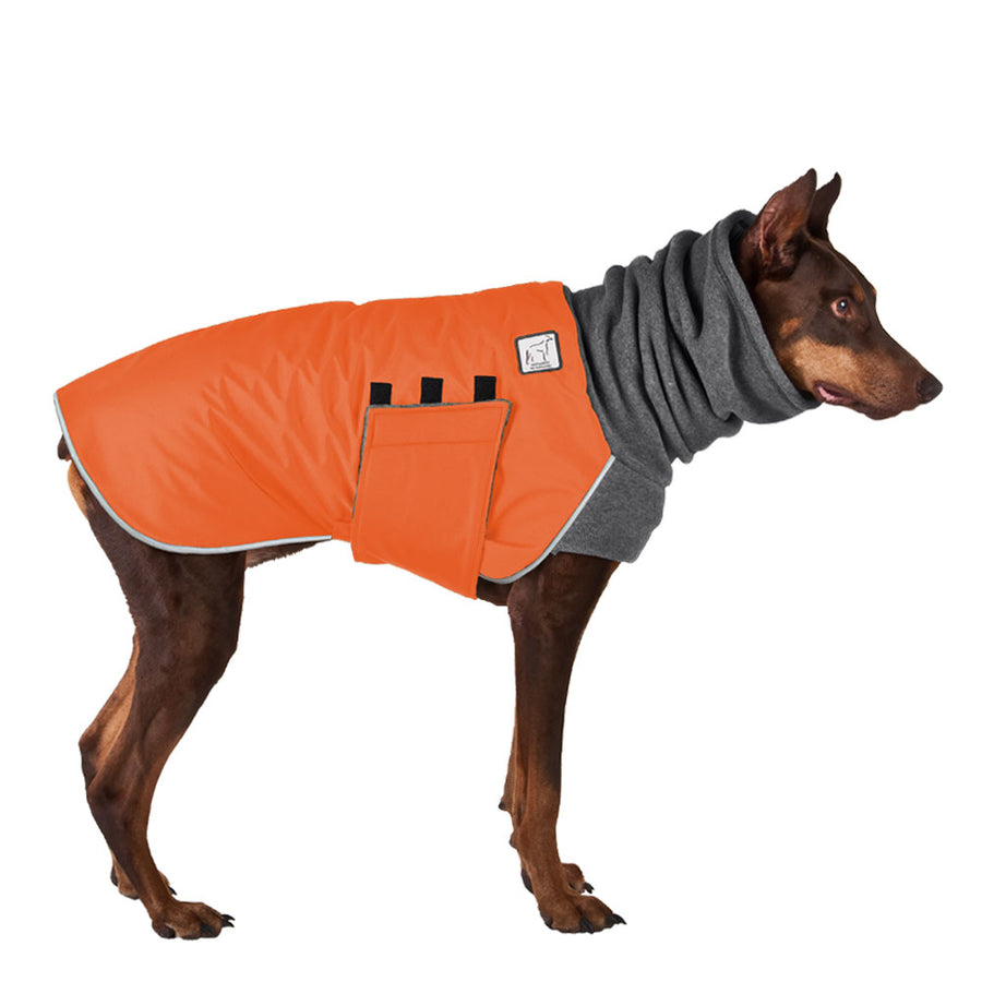 Doberman Pinscher Winter Coat