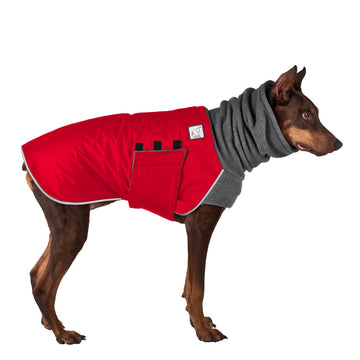 Doberman Pinscher Winter Coat (Red) - Voyagers K9 Apparel