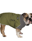 English Bulldog Winter Coat (Olive) - Voyagers K9 Apparel
