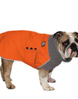 English Bulldog Winter Coat (Special Order Orange) - Voyagers K9 Apparel