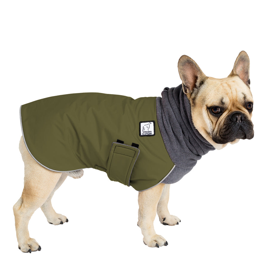 French Bulldog Winter Coat (Olive) - Voyagers K9 Apparel