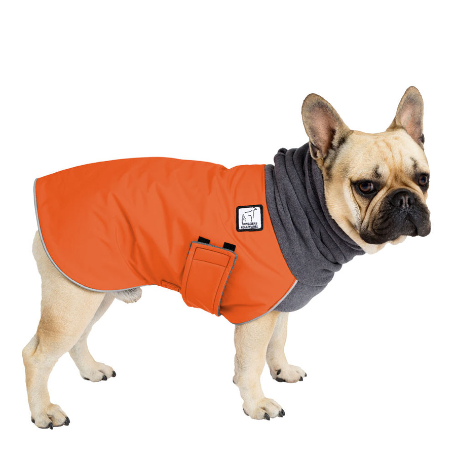 French Bulldog Winter Coat (Special Order Orange) - Voyagers K9 Apparel