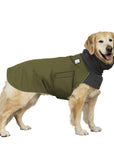 Golden Retriever Winter Coat (Olive) - Voyagers K9 Apparel Dog Gear